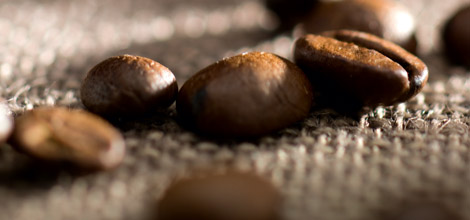 Existem mais de 50 tipos de caf&eacute;